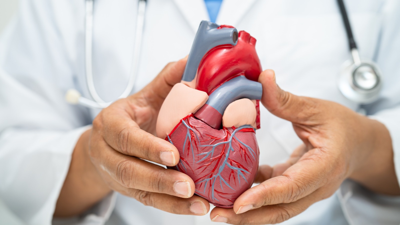 ¿Cómo se previenen las enfermedades al corazón?